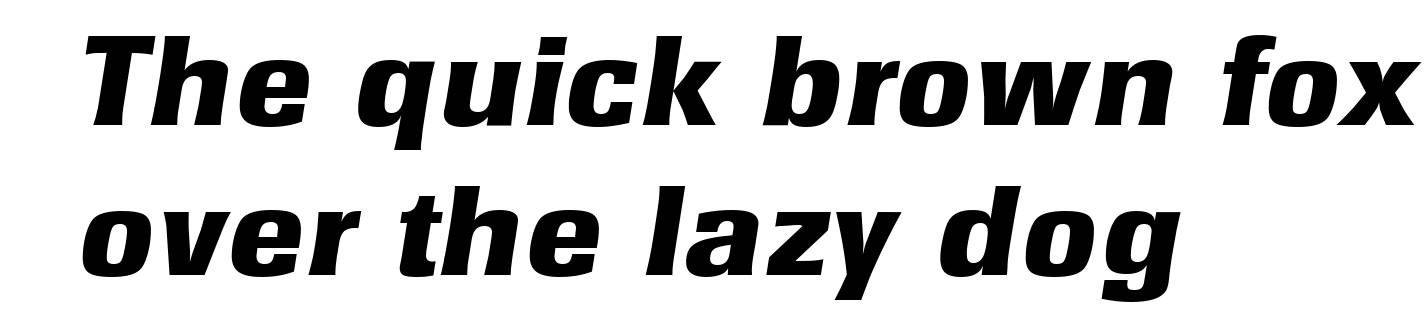 RochesterSerial-Heavy-Italic