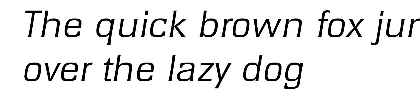 RochesterSerial-Light-Italic