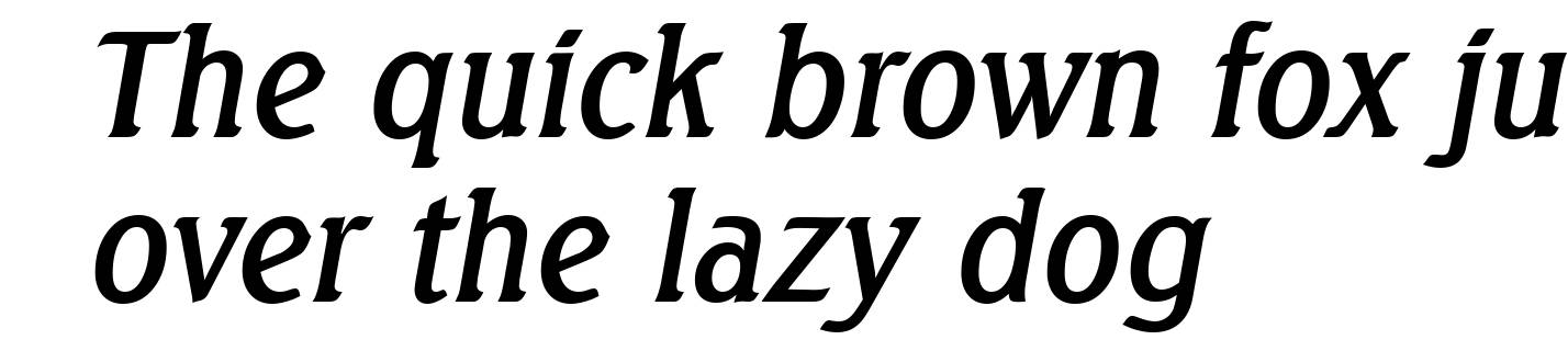 SeagullSerial-Italic