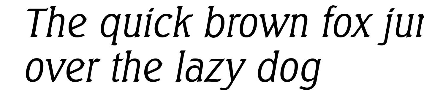 SeagullSerial-Light-Italic