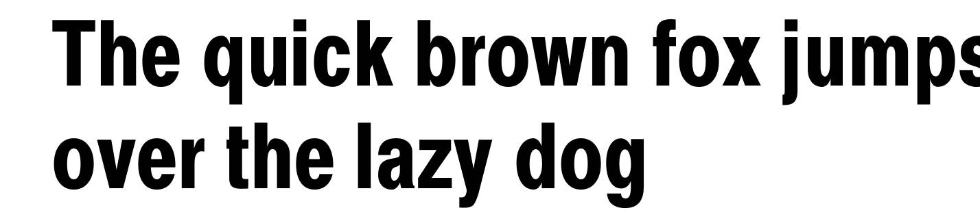 Xerox Sans Serif Narrow Bold