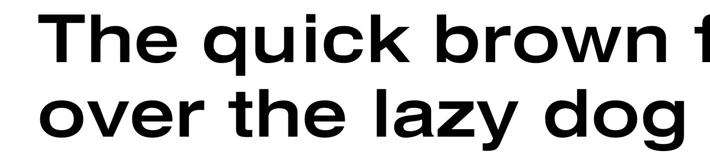 Xerox Sans Serif Wide Bold
