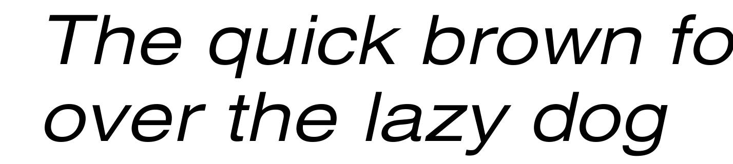 Xerox Sans Serif Wide Oblique