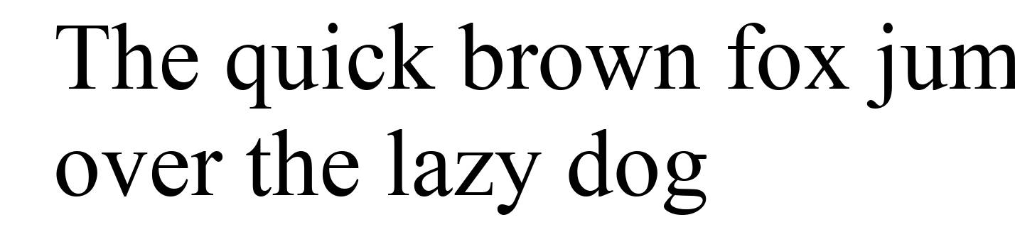 Times New Roman