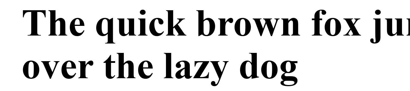 Times New Roman Bold
