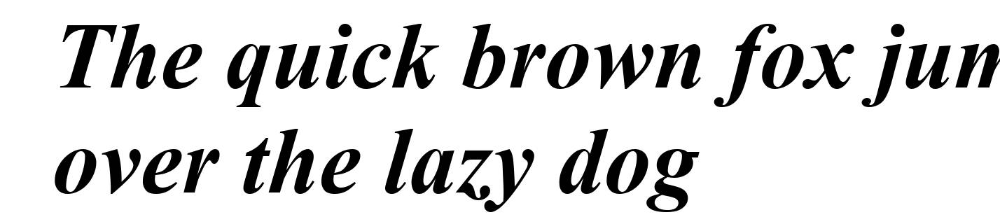 Times New Roman Bold Italic