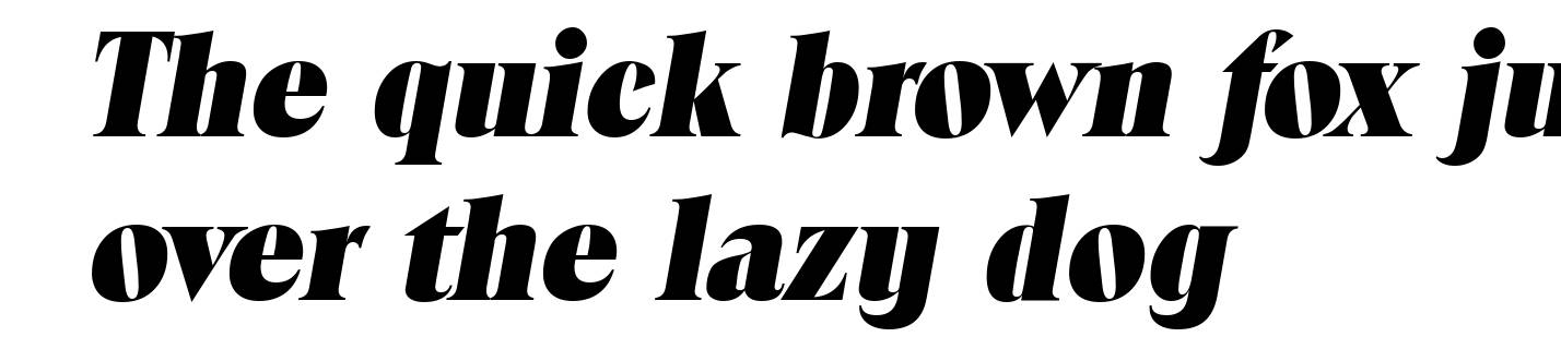 ToledoSerial-Heavy-Italic