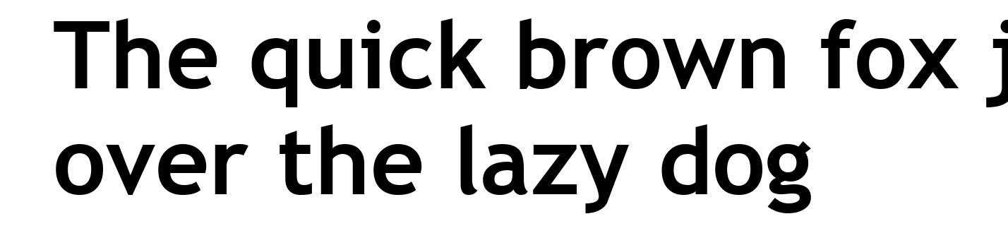 Trebuchet MS Bold