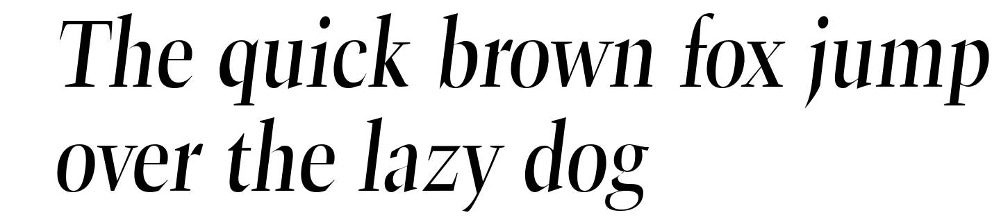 TrumpetLite Italic