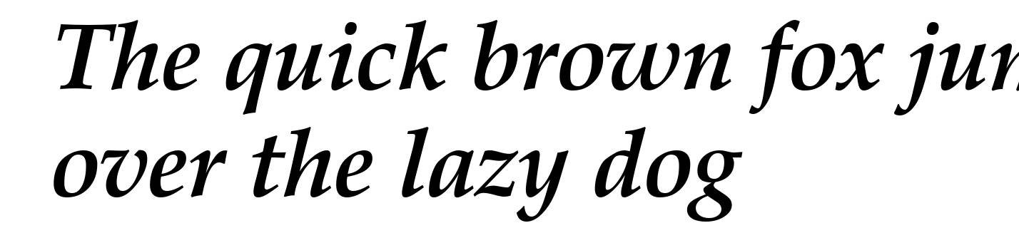 Zapf Calligraphic 801 Bold Italic BT