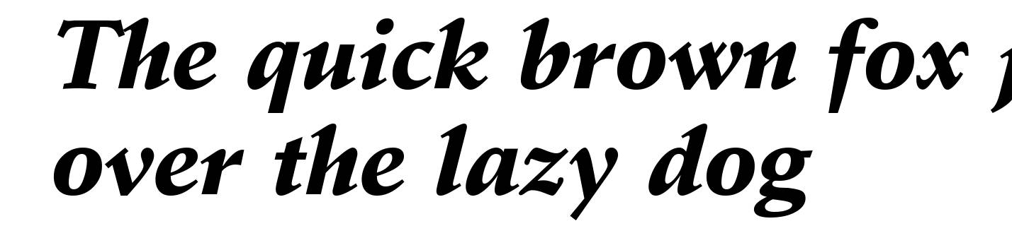 Schneidler Black Italic BT