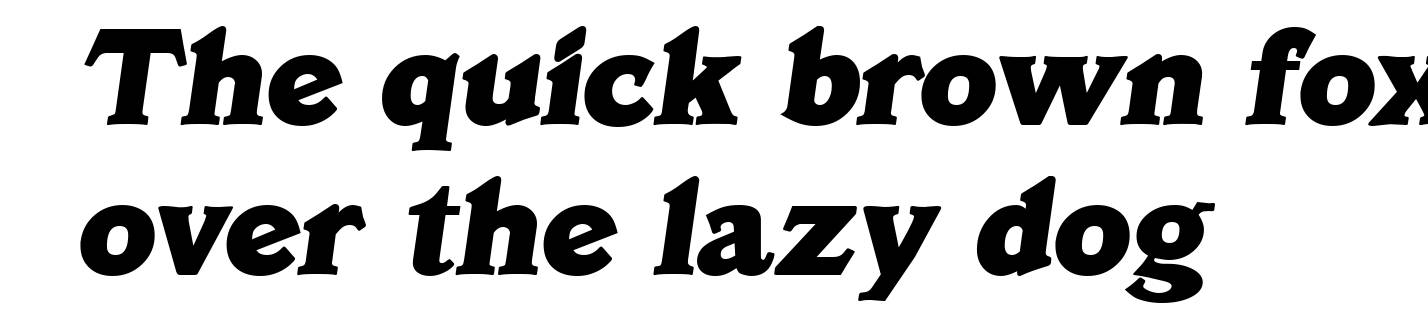 VeracruzSerial-Heavy-Italic