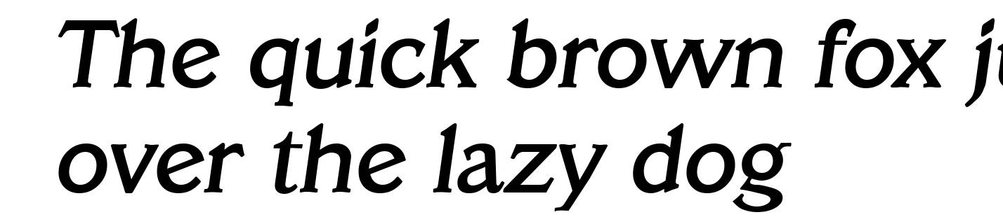 VeracruzSerial-Medium-Italic