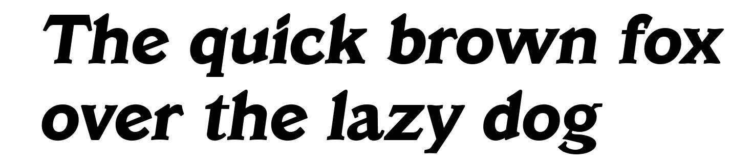 VeracruzSerial-Xbold-Italic