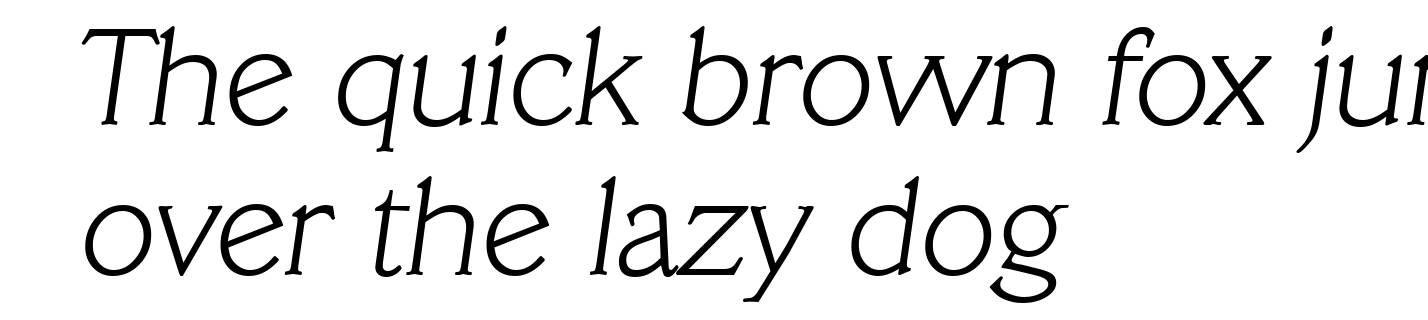 VeracruzSerial-Xlight-Italic