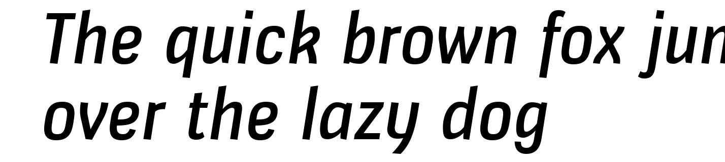 Veriox Rg Italic