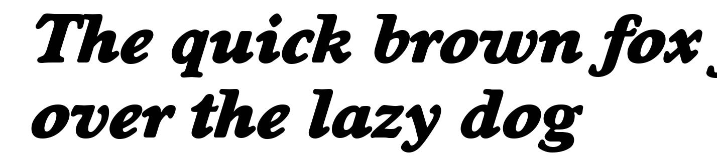 WorcesterSerial-Heavy-Italic